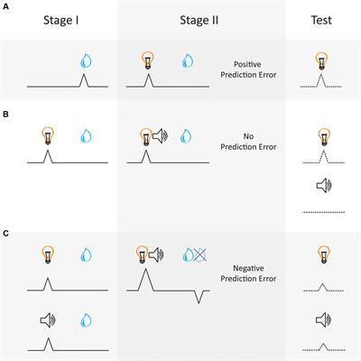 The Dopamine Prediction Error: Contributions to Associative Models of Reward Learning